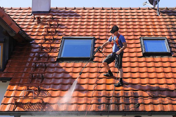 Roof Moss Removal & Treatment