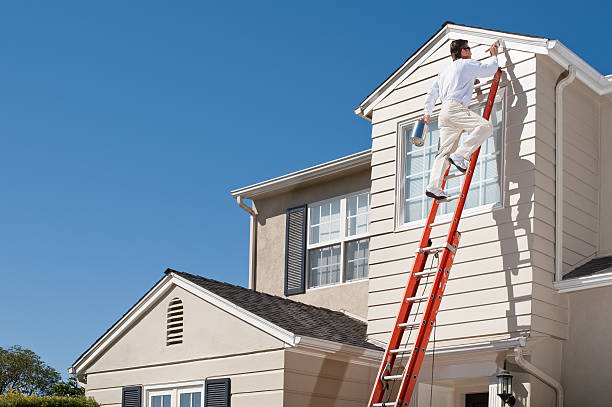 Trim Paint Refresh