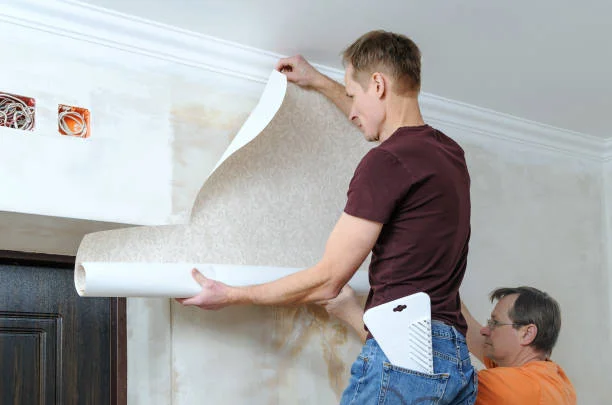 Wallpaper Installation & Removal
