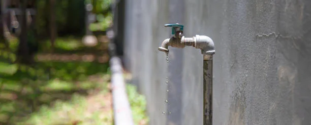 istockphoto-2157421133-612x612-1