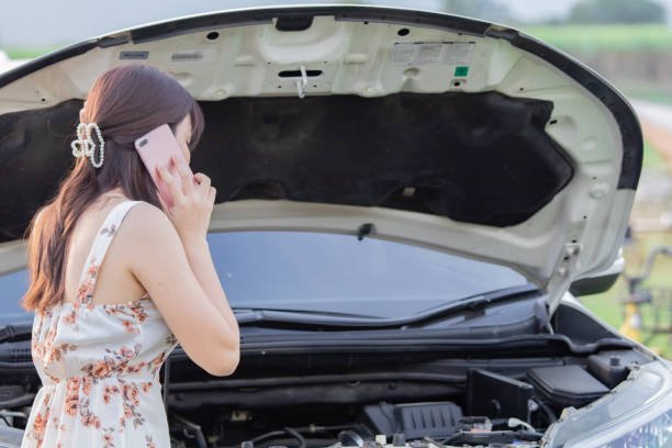 istockphoto-2183961030-612x612