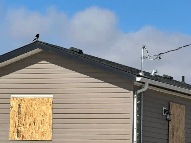 istockphoto-2204404458-612x612-1