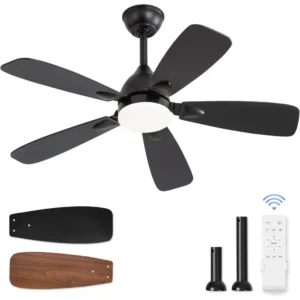Ceiling Fans with Lights,42 inch Ceiling Fans with Lights and Remote,3CCT,6 Speeds, Reversible DC Motor, Noiseless