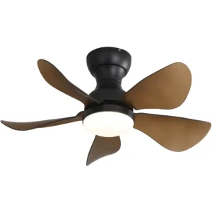 Modern 29 Inch Ceiling Fan DC Motor Ceiling Fan Light with Remote Control