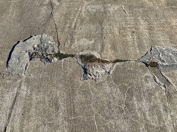 Driveway and concrete repair services