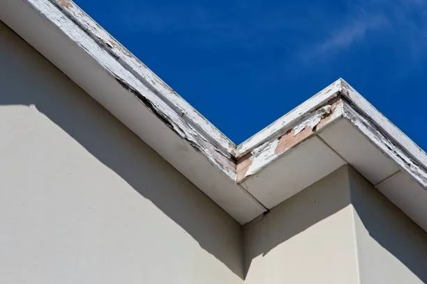Exterior trim and fascia repair services