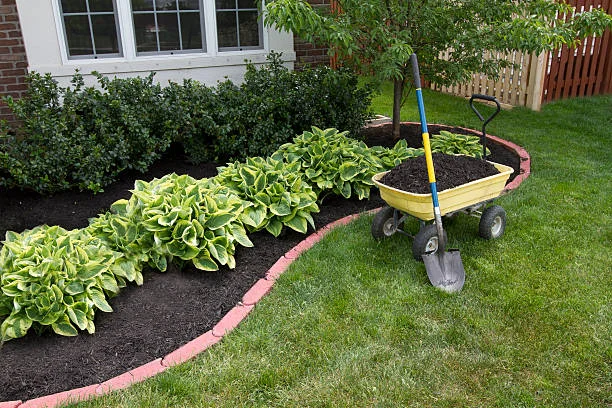 Flower Bed Maintenance & Cleanup