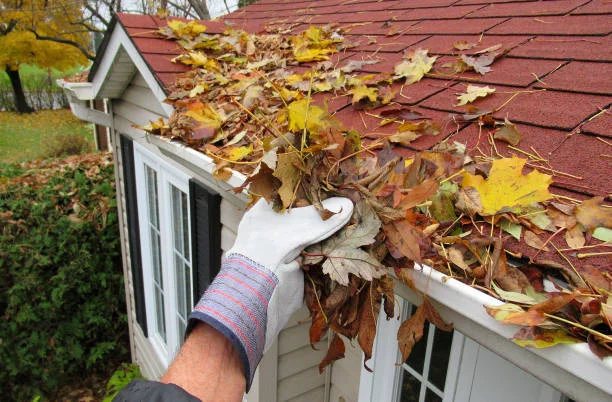 Gutter Cleaning & Flushing