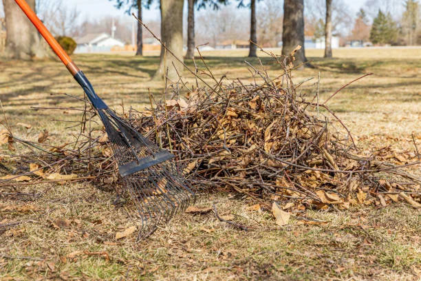 Lawn Cleanup Service Spring & Fall