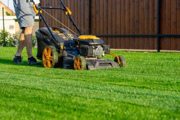 Lawn Mowing & Edging Service