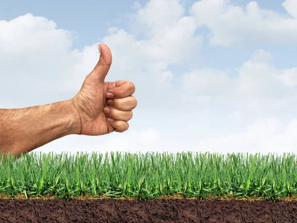 Lawn Overseeding Service