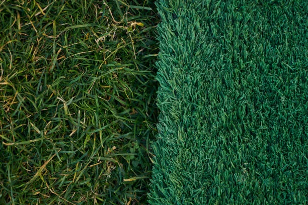 Lawn Painting & Grass Color Service