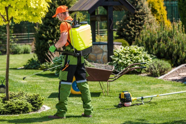 Lawn Pest Control Service
