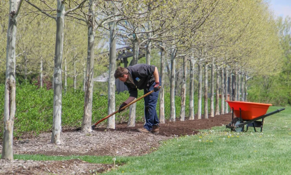 Mulch Installation Service