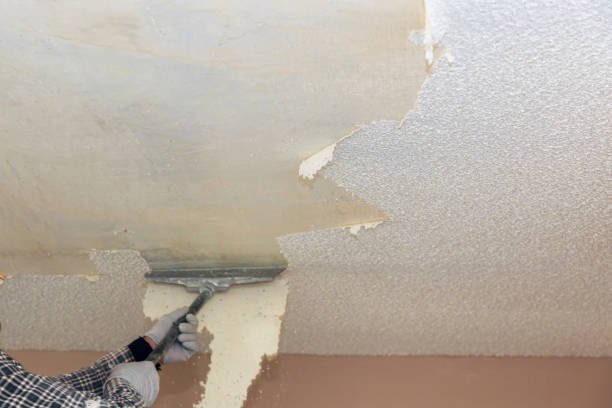 Popcorn Ceiling Removal and Painting Service