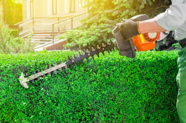 Shrub & Hedge Trimming Service