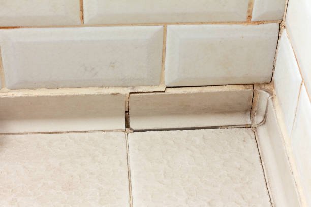 Tile and grout repair service by NorTech